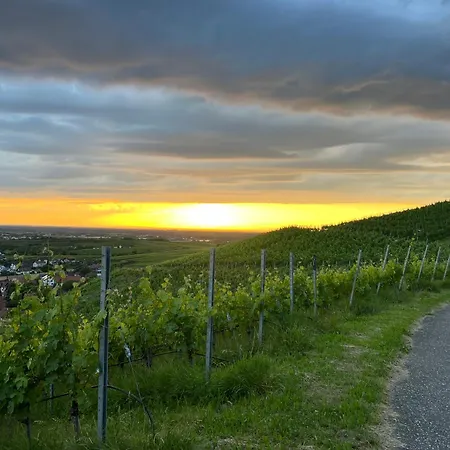 Romantisches Winzerhaeuschen Buehl Exterior photo