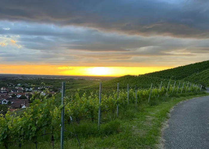Romantisches Winzerhaeuschen